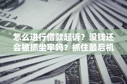 济南怎么进行借款起诉？没钱还会被抓坐牢吗？抓住最后机会！