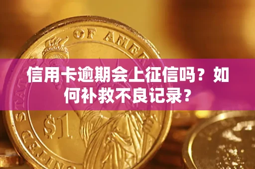 济南信用卡逾期会上征信吗？如何补救不良记录？
