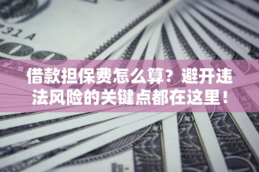 济南借款担保费怎么算？避开违法风险的关键点都在这里！