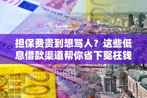 济南担保费贵到想骂人？这些低息借款渠道帮你省下冤枉钱