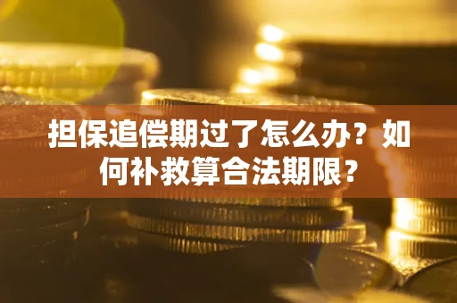 济南担保追偿期过了怎么办？如何补救算合法期限？