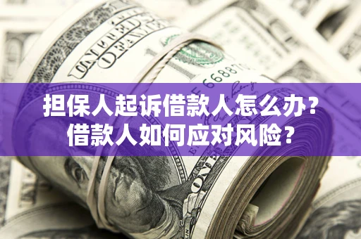 济南担保人起诉借款人怎么办？借款人如何应对风险？
