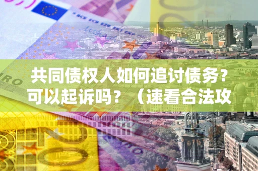 济南共同债权人如何追讨债务？可以起诉吗？（速看合法攻略）